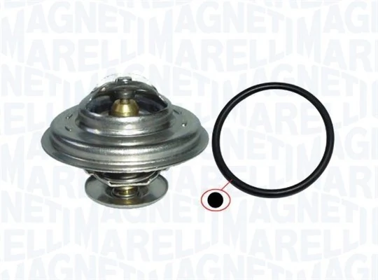 Thermostat, coolant